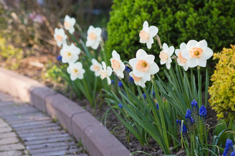 Garden Border Installation