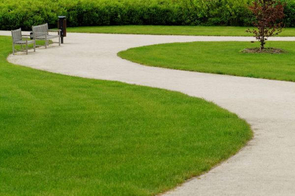 Cost of Sidewalk Concrete Service in Carson City