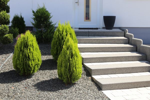 Exterior Steps Construction in Carson City