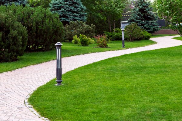 Cost of Backyard Sidewalk Installation in Carson City