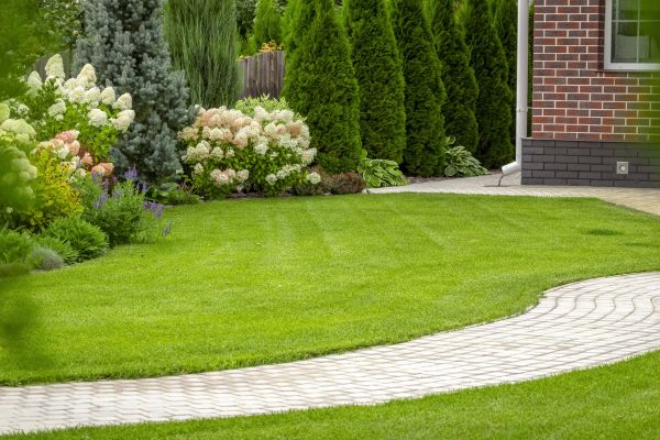 Cost of Landscape Walkway Installation in Carson City